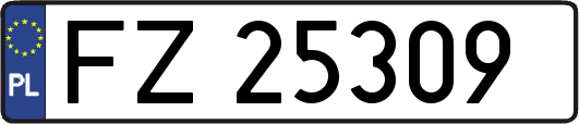 FZ25309