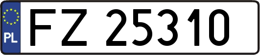 FZ25310