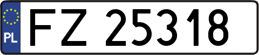 FZ25318