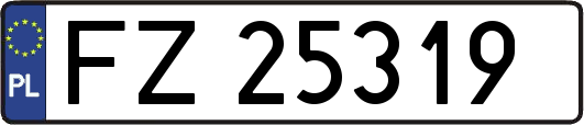 FZ25319