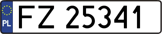 FZ25341