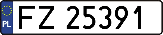 FZ25391