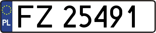 FZ25491
