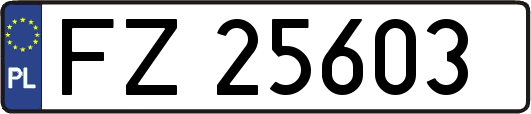 FZ25603