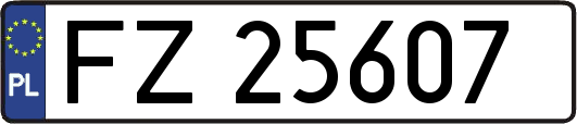 FZ25607
