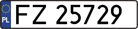 FZ25729