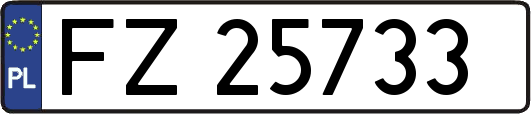 FZ25733