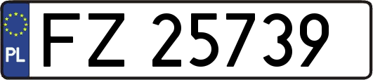 FZ25739