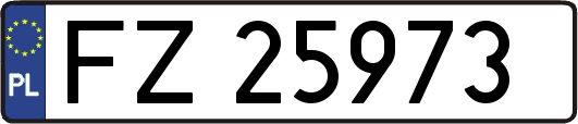 FZ25973