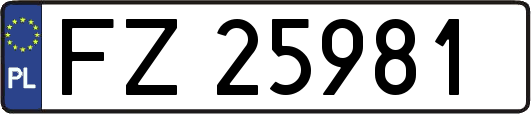 FZ25981