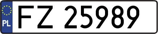 FZ25989