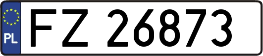 FZ26873