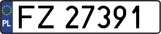 FZ27391