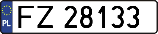 FZ28133