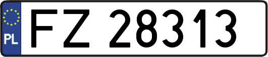 FZ28313