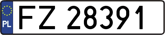 FZ28391