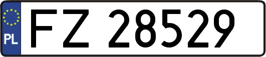 FZ28529