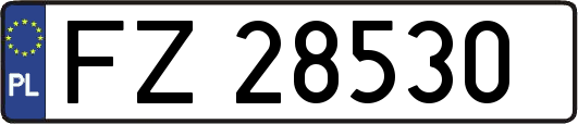 FZ28530