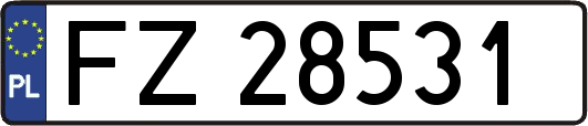 FZ28531