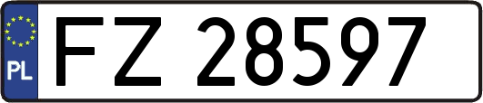 FZ28597