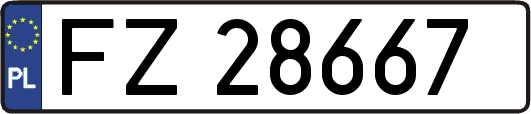 FZ28667