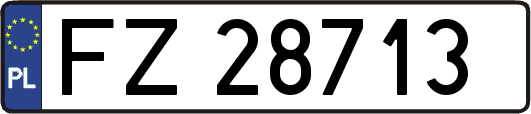 FZ28713
