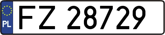 FZ28729