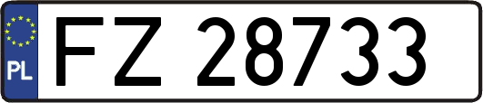 FZ28733