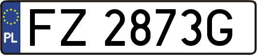 FZ2873G