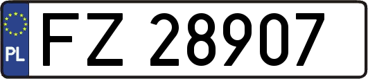 FZ28907