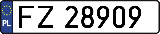 FZ28909