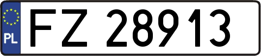 FZ28913