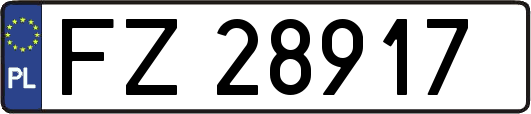 FZ28917
