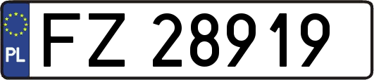 FZ28919