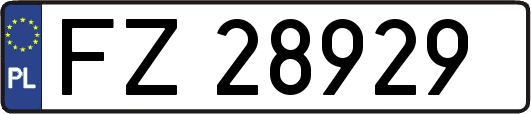 FZ28929