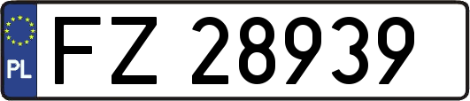 FZ28939