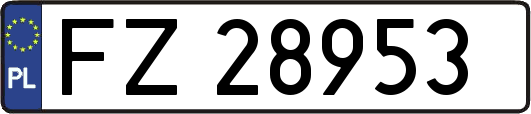 FZ28953