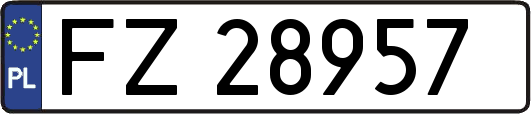 FZ28957