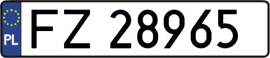 FZ28965