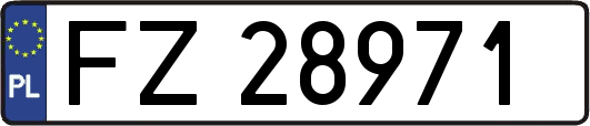 FZ28971