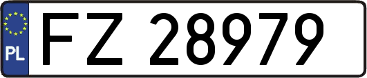 FZ28979