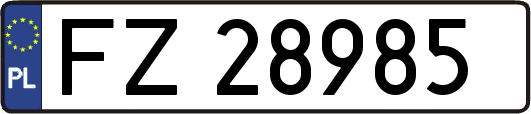FZ28985
