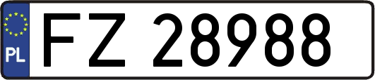 FZ28988