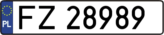 FZ28989