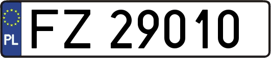 FZ29010