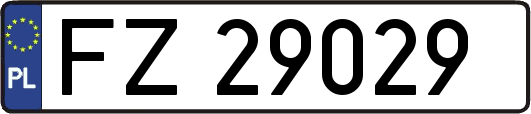 FZ29029