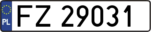 FZ29031