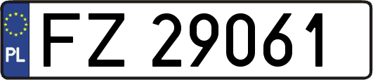FZ29061