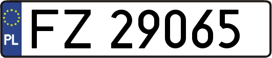 FZ29065