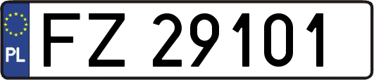 FZ29101